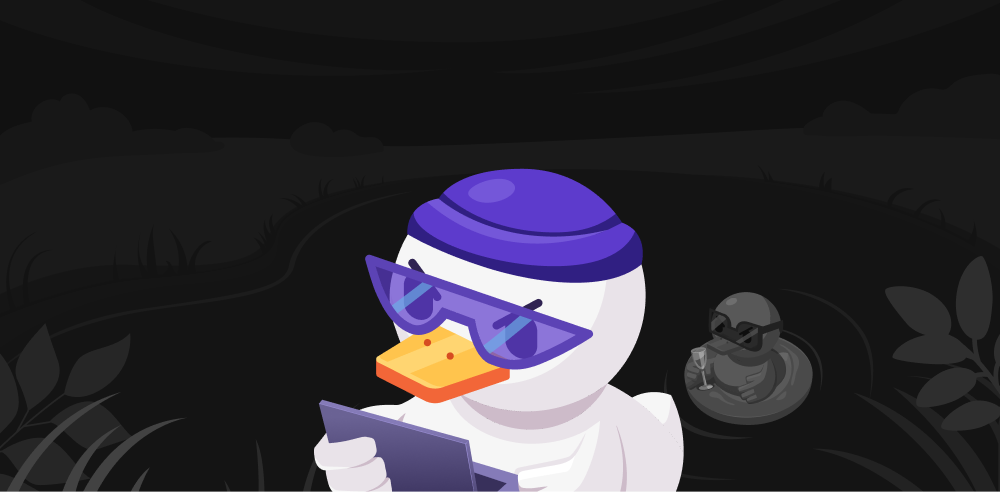 What Is USDC? Why DuelDuck Uses Stablecoin Payouts